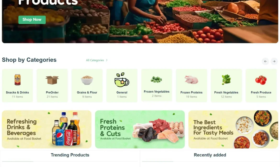 eCommerce Website Design in Ontario and edmonton